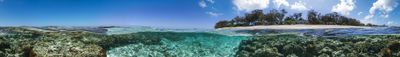 Panoramic View 1