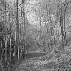 Western Maryland Railroad Right-of-Way, Milepost 126 to Milepost 160