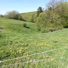 LSG-FFH-Gebiet Leiberger Wald