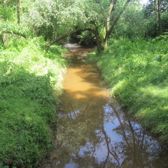 Údolí Hasiny u Lipence