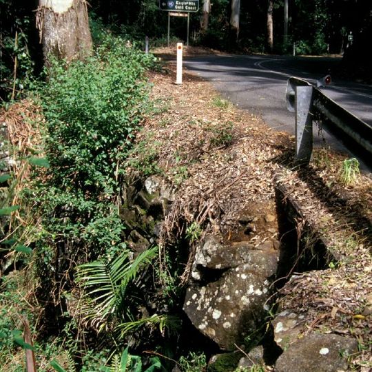 Tamborine Mountain Road
