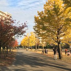 福岡中央公園