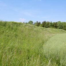 Niederterrassenböschung in Traun