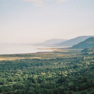 Jezioro Manyara