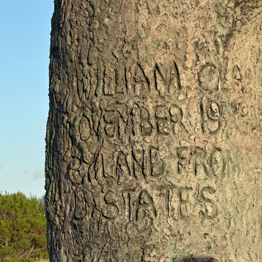 Clark's Tree