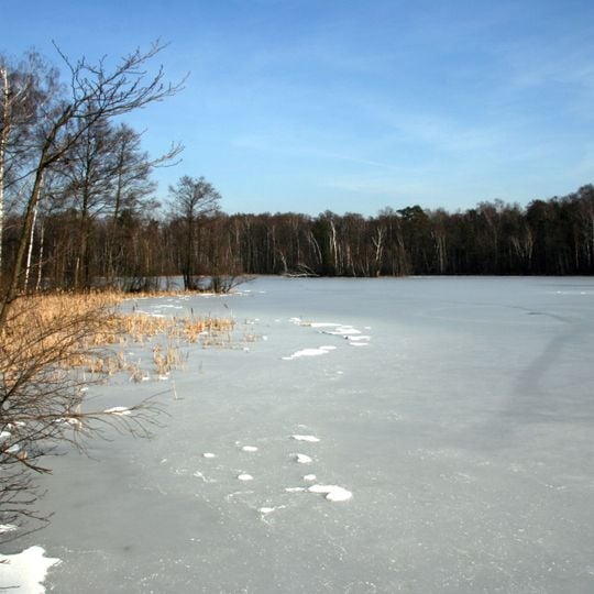 Rezerwat przyrody Na Torfach