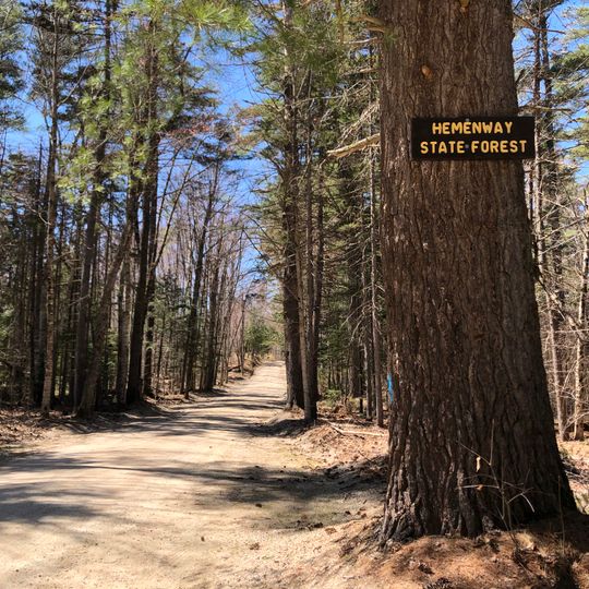 Hemenway State Forest
