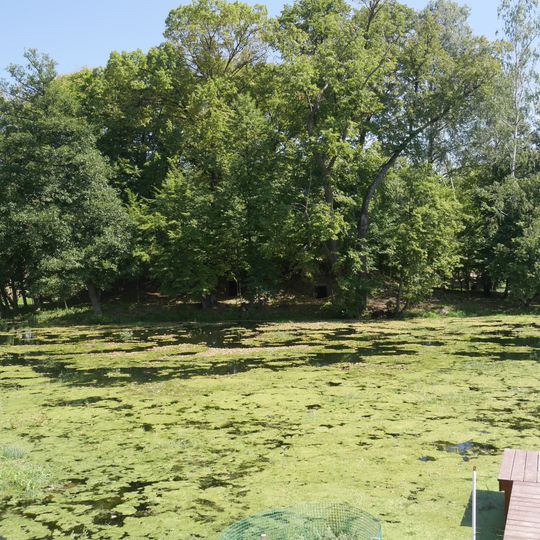 Pozostałości zamku na wyspie