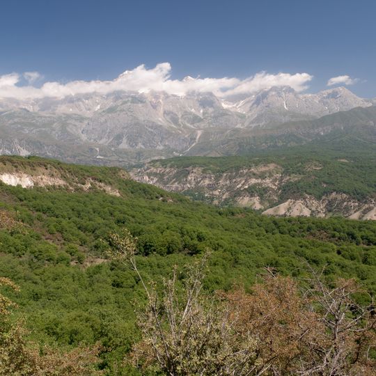 Walnut forest of Arslanbob