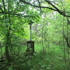 Kříž nad Radnicemi zarostlý v náletových dřevinách