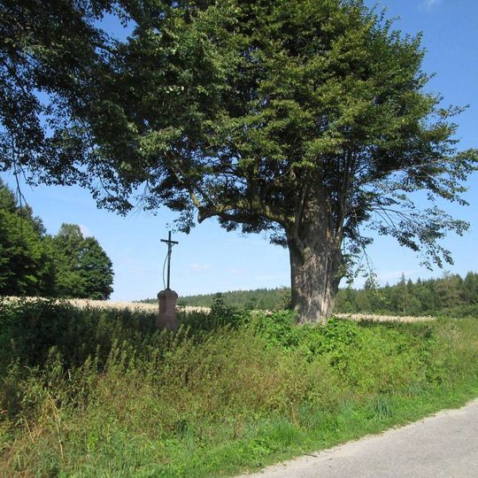 Kříž nad Popovicemi u cesty vedoucí do Bystřice