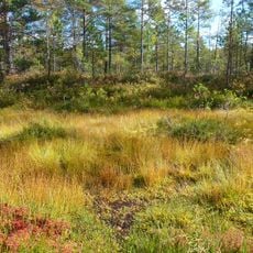 Älta mosse-Strålsjön