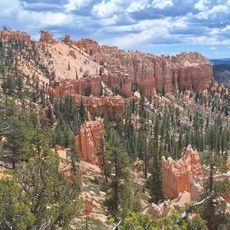 Swamp Canyon Overlook