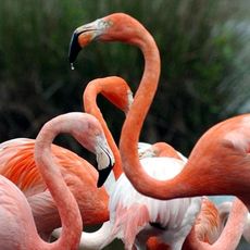 Haute Touche Zoological Park