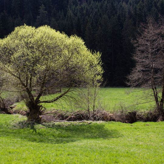 Weiße, Wissinger, Breitenbrunner Laaber u. Kreuzberg bei Dietfurt