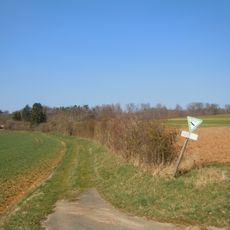 Pflanzenstandort Kohlplatte