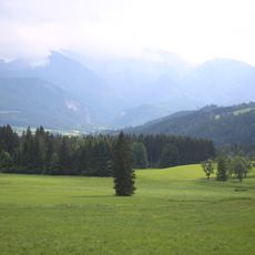 Mooswiesen bei Rading