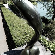 Jumping Fish