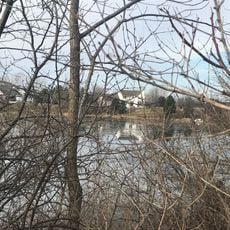 Tamarack Lake