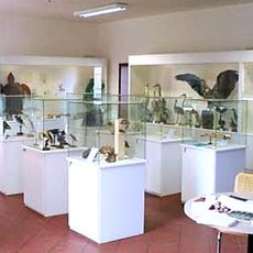 Museo dell'Ecologia