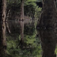 Anavilhanas National Park