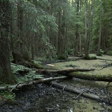 Rezerwat przyrody Tahkuna