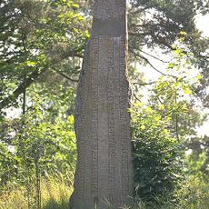 Uppland Runic Inscription 323