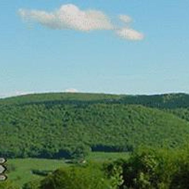 Bibracte Archaeological Site