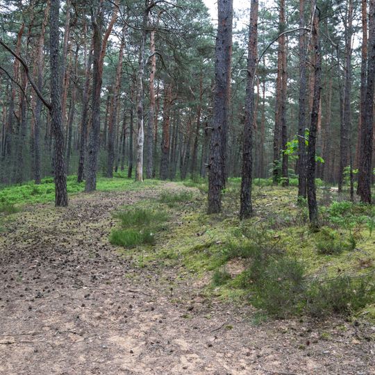 Neumarkter Sanddünen