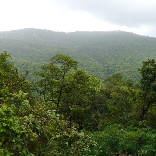 Tungareshwar Wildlife Sanctuary