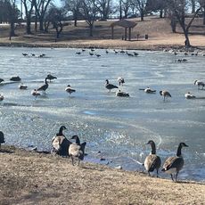 Jo Allyn Lowe Park
