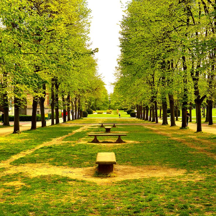 Parc de la Cité internationale universitaire de Paris