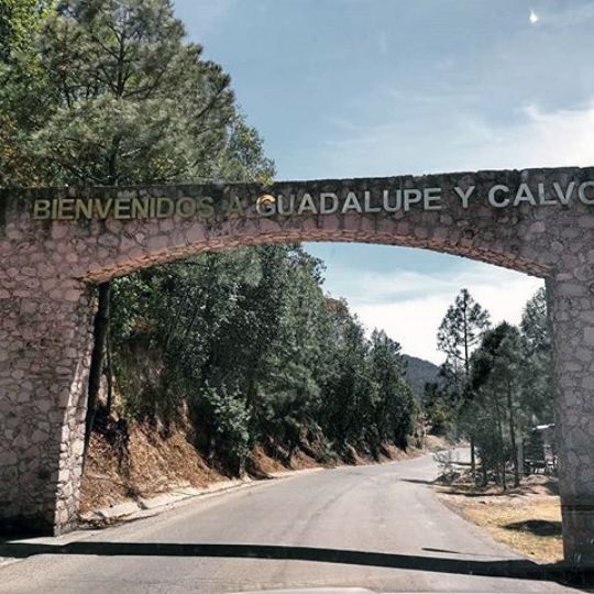 Guadalupe y Calvo