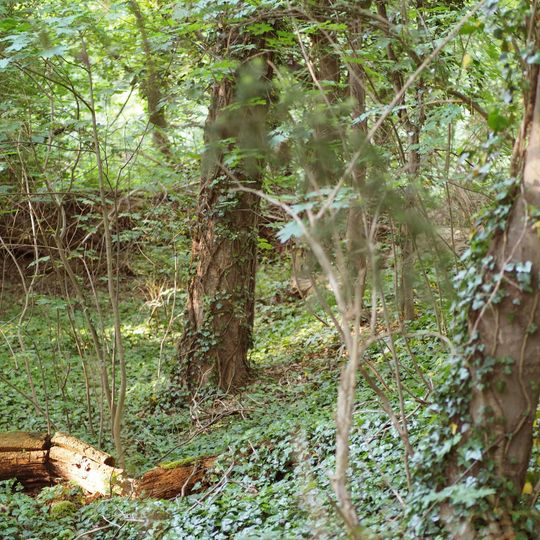 Landschaftsschutzgebiet Lichterfelde-Süd