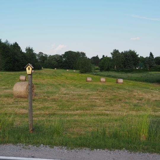 Feuchtwiese am Lößnitzweg