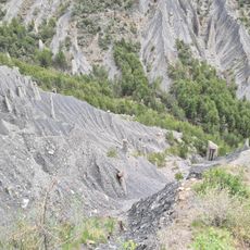 Demoiselles coiffées de Vallauria