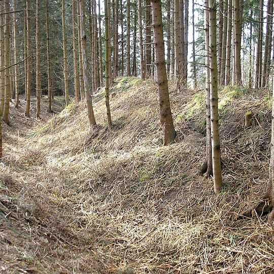 Ringwall Walleshausen