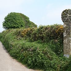 Lesquite Cross, 160m NNW of Lesquite Farm
