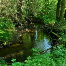 Bedřichovský potok