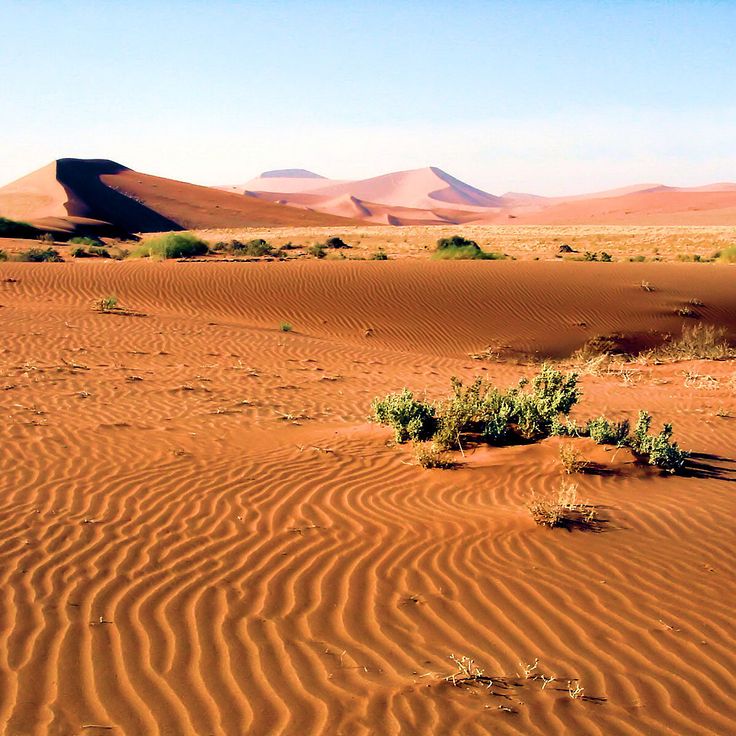 Park Namib-Naukluft