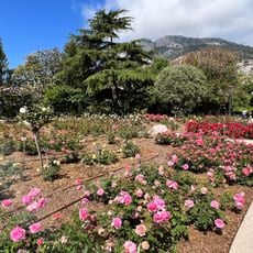 Princess Grace Rose Garden