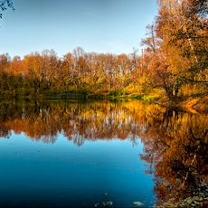 Park in Vorontsov Estate