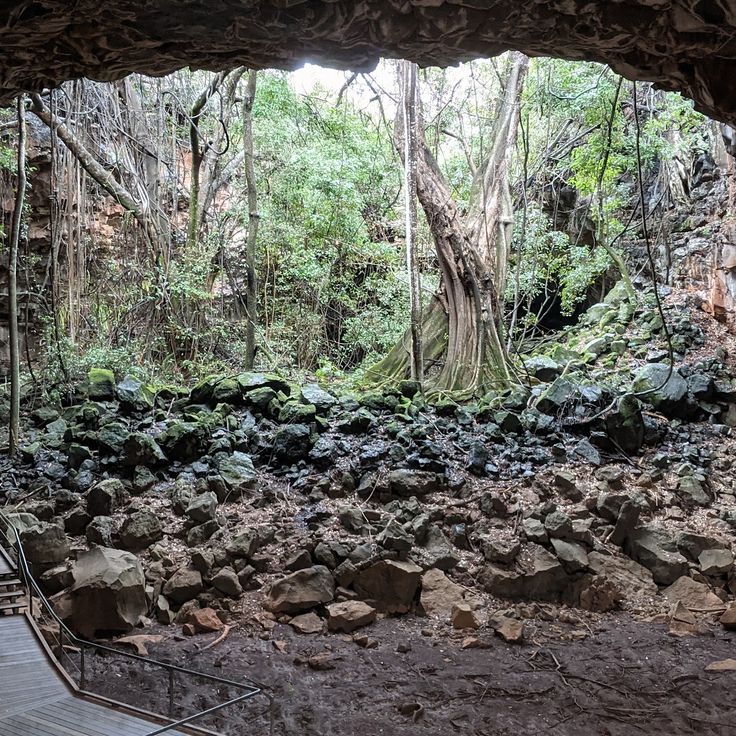 Parque Nacional Volcánico Undara