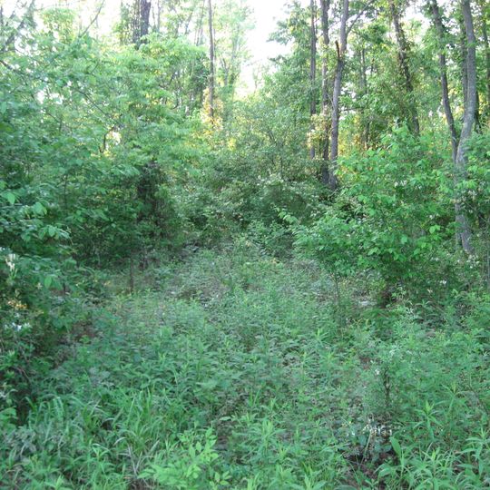 Swan's Landing Archeological Site