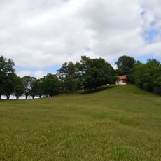 26 Linden am Galgenrain