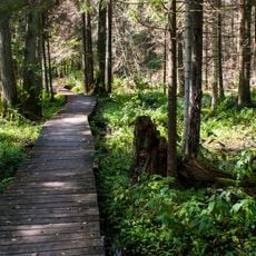 Nature reserve Krzemianka