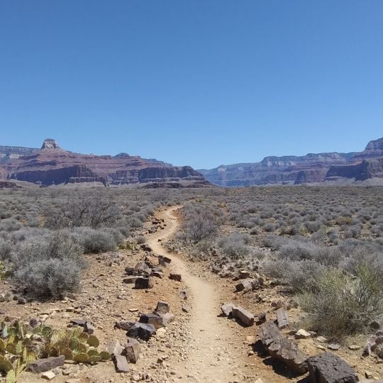 Plateau Point Trail