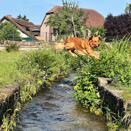 Camping du Moulin
