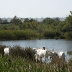Observatoire du Mas Neuf
