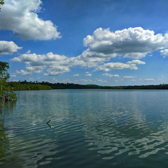 Rio Bravo Conservation & Management Area